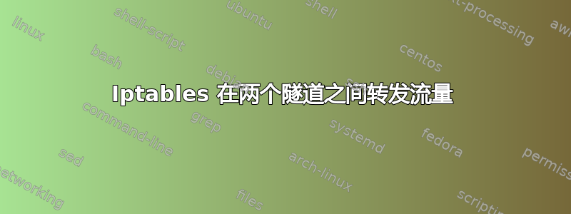 Iptables 在两个隧道之间转发流量