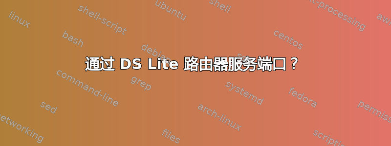 通过 DS Lite 路由器服务端口？