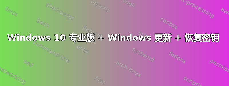 Windows 10 专业版 + Windows 更新 + 恢复密钥