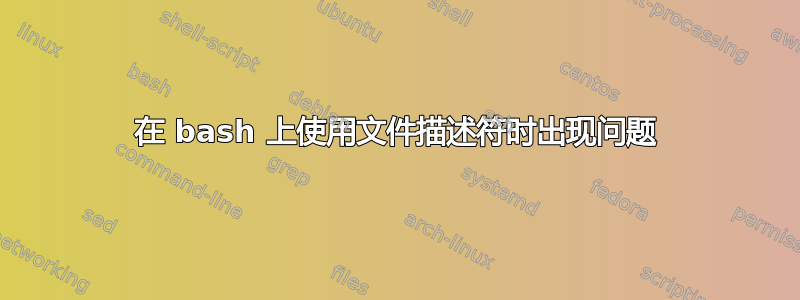 在 bash 上使用文件描述符时出现问题