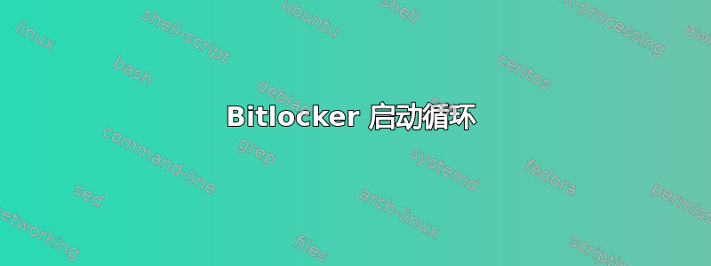 Bitlocker 启动循环