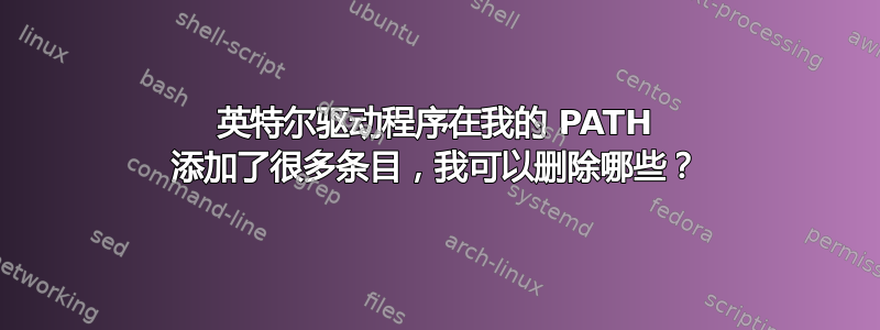 英特尔驱动程序在我的 PATH 添加了很多条目，我可以删除哪些？