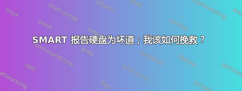 SMART 报告硬盘为坏道；我该如何挽救？