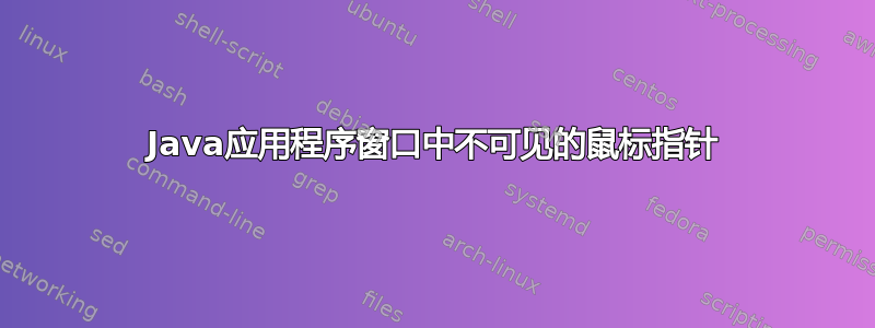 Java应用程序窗口中不可见的鼠标指针