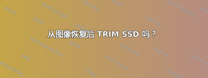 从图像恢复后 TRIM SSD 吗？