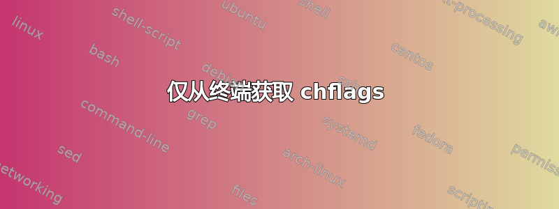 仅从终端获取 chflags