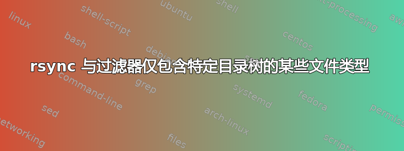 rsync 与过滤器仅包含特定目录树的某些文件类型