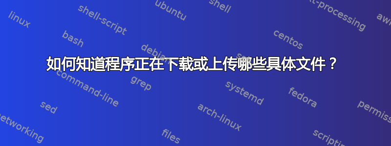 如何知道程序正在下载或上传哪些具体文件？