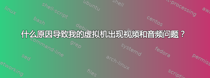 什么原因导致我的虚拟机出现视频和音频问题？