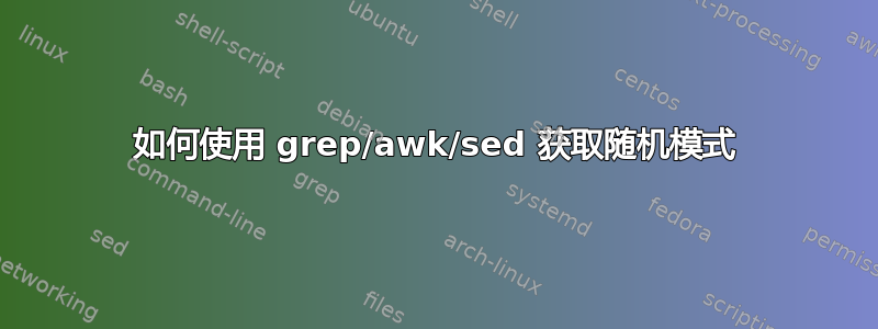 如何使用 grep/awk/sed 获取随机模式