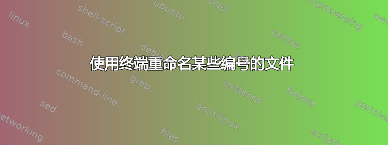 使用终端重命名某些编号的文件