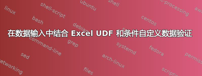 在数据输入中结合 Excel UDF 和条件自定义数据验证