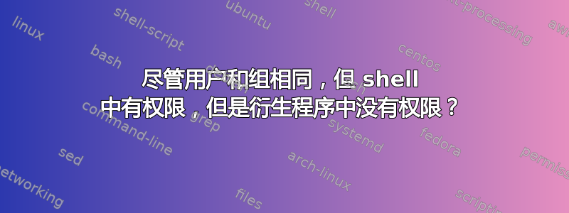 尽管用户和组相同，但 shell 中有权限，但是衍生程序中没有权限？