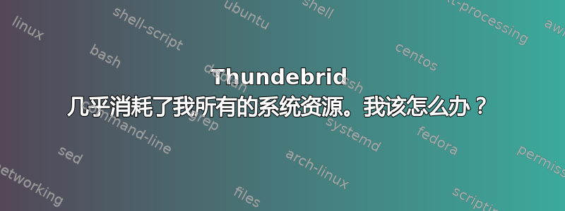 Thundebrid 几乎消耗了我所有的系统资源。我该怎么办？