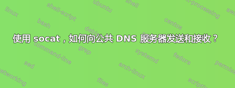 使用 socat，如何向公共 DNS 服务器发送和接收？