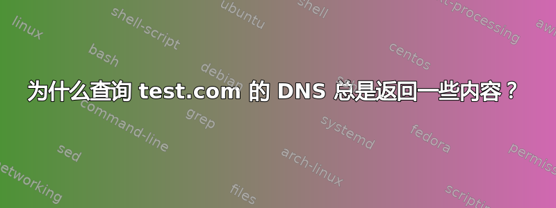 为什么查询 test.com 的 DNS 总是返回一些内容？