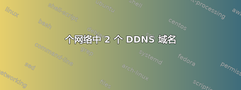 1 个网络中 2 个 DDNS 域名