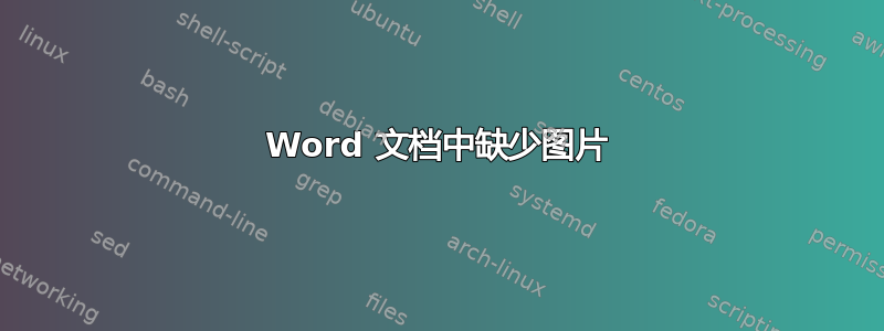 Word 文档中缺少图片