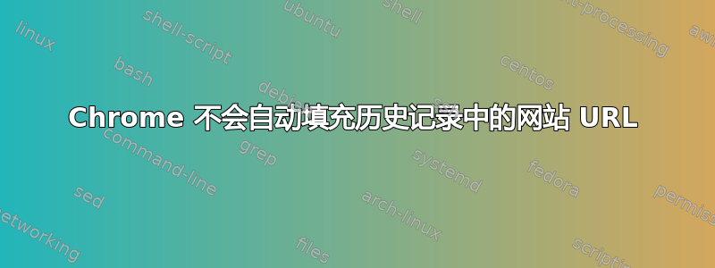 Chrome 不会自动填充历史记录中的网站 URL