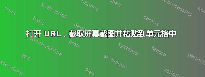 打开 URL，截取屏幕截图并粘贴到单元格中