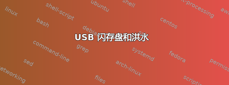 USB 闪存盘和洪水 