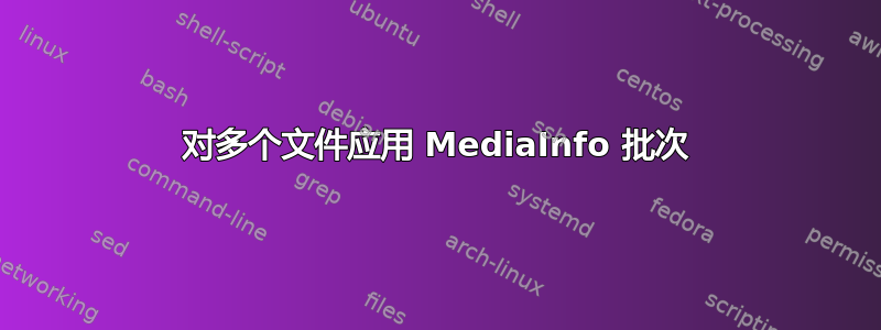 对多个文件应用 MediaInfo 批次