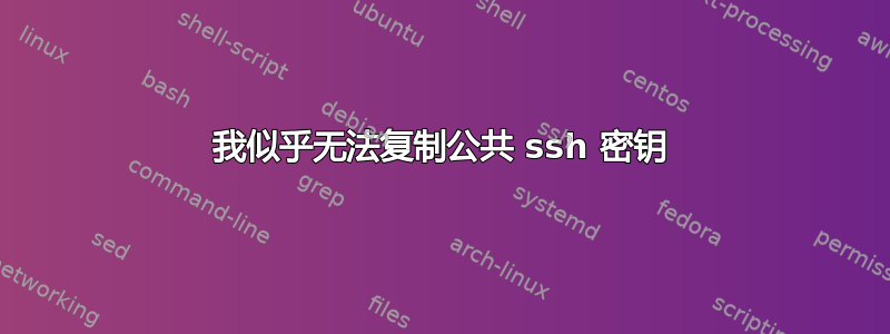 我似乎无法复制公共 ssh 密钥