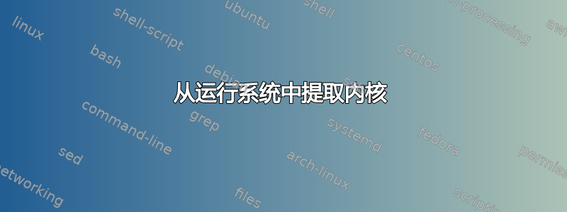 从运行系统中提取内核