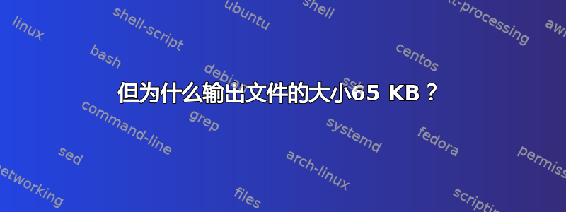 但为什么输出文件的大小65 KB？