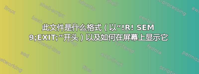 此文件是什么格式（以“!R! SEM 9;EXIT;”开头）以及如何在屏幕上显示它