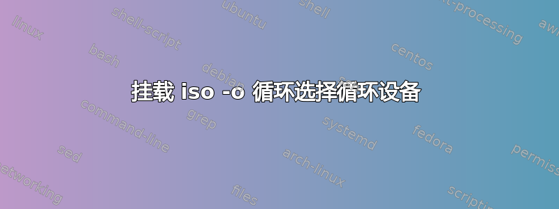 挂载 iso -o 循环选择循环设备