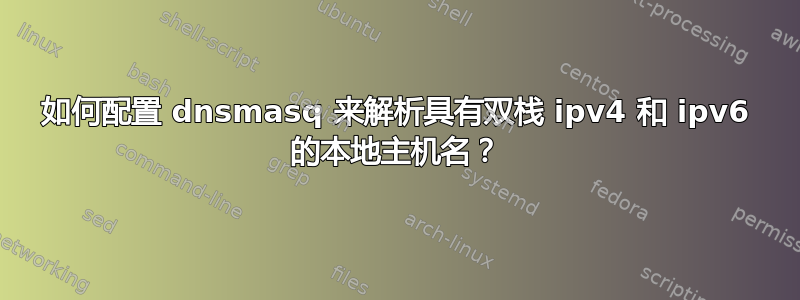 如何配置 dnsmasq 来解析具有双栈 ipv4 和 ipv6 的本地主机名？