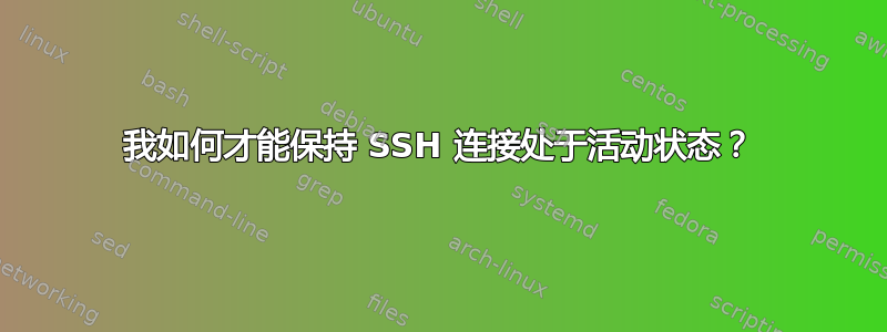 我如何才能保持 SSH 连接处于活动状态？