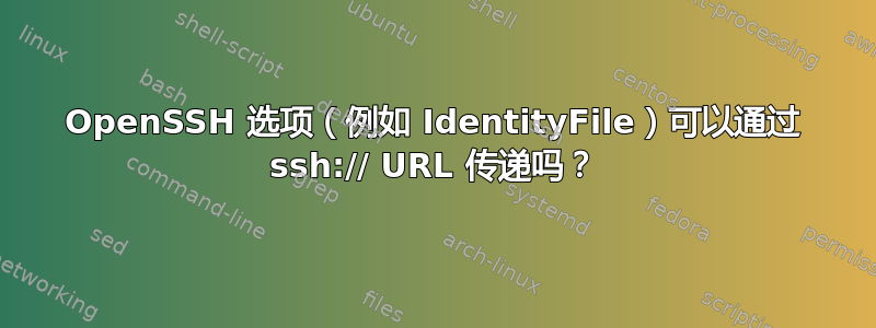 OpenSSH 选项（例如 IdentityFile）可以通过 ssh:// URL 传递吗？