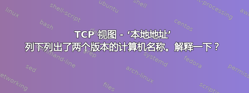 TCP 视图 - ‘本地地址’ 列下列出了两个版本的计算机名称。解释一下？