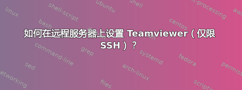 如何在远程服务器上设置 Teamviewer（仅限 SSH）？