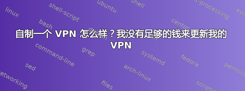 自制一个 VPN 怎么样？我没有足够的钱来更新我的 VPN