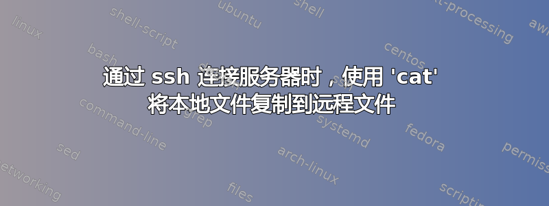 通过 ssh 连接服务器时，使用 'cat' 将本地文件复制到远程文件