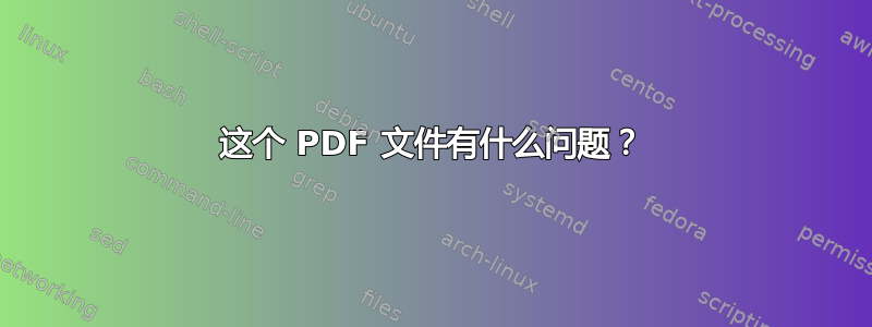 这个 PDF 文件有什么问题？