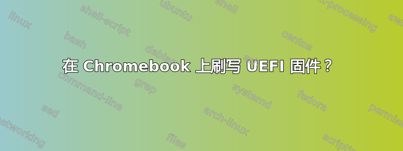 在 Chromebook 上刷写 UEFI 固件？