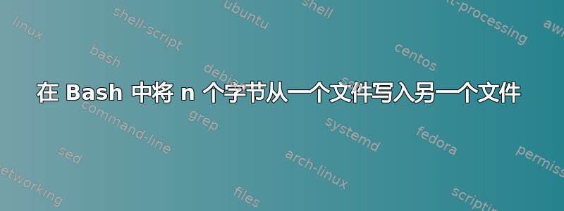 在 Bash 中将 n 个字节从一个文件写入另一个文件