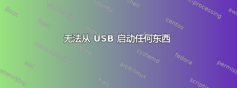 无法从 USB 启动任何东西