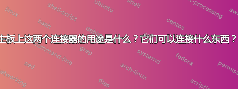 主板上这两个连接器的用途是什么？它们可以连接什么东西？