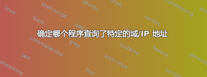 确定哪个程序查询了特定的域/IP 地址