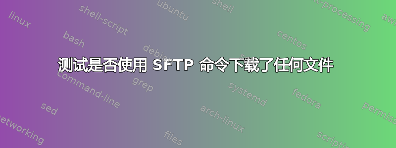 测试是否使用 SFTP 命令下载了任何文件