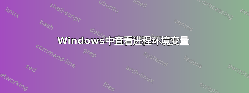 Windows中查看进程环境变量