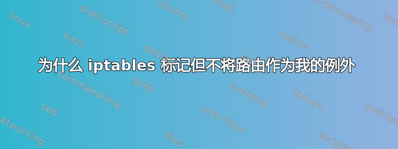 为什么 iptables 标记但不将路由作为我的例外