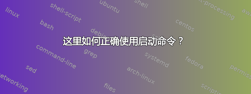 这里如何正确使用启动命令？