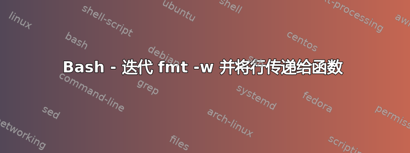 Bash - 迭代 fmt -w 并将行传递给函数