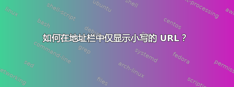 如何在地址栏中仅显示小写的 URL？